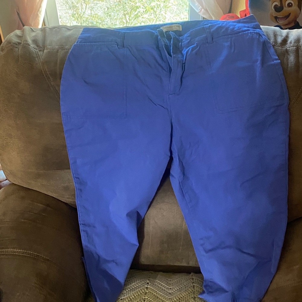 Coldwater Creek Vibrant Blue CapriPants